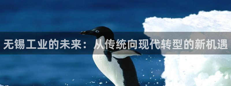 云顶国际游戏网址