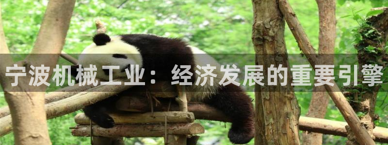 云顶国际app官方网站下载安装