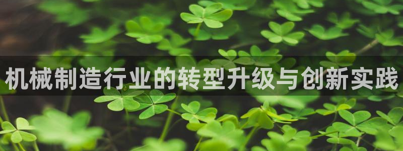 云顶国际是做什么的公司