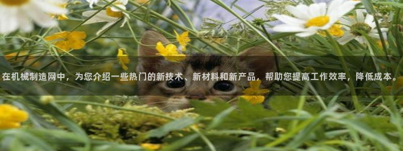 云顶集团优惠申请大厅