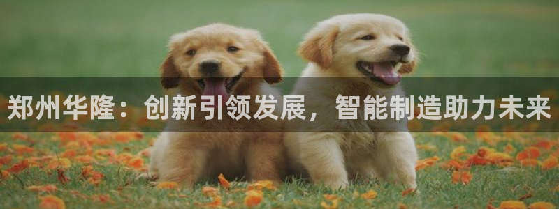 云顶集团有限公司简介地址