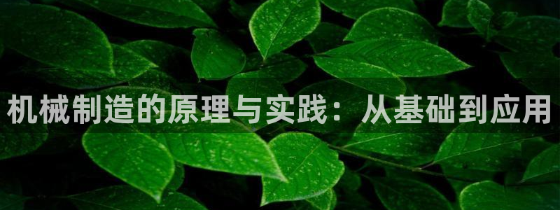 云顶国际(集团)开发实业有限公司