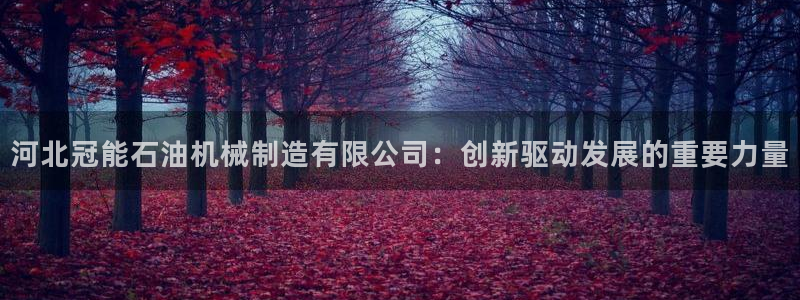 云顶国际网站能玩吗