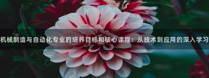 云顶国际注册了有什么影响