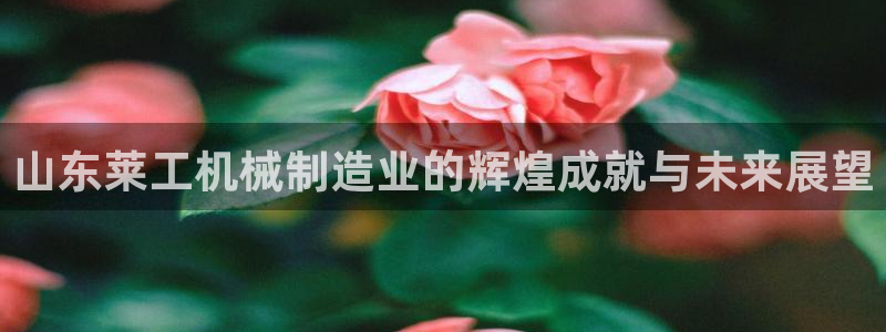 云顶国际林梧桐