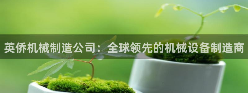 云顶国际服充值