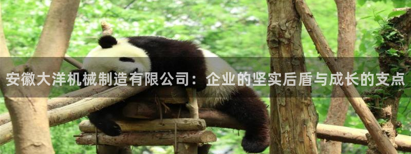 云顶国际app下载唯一平台