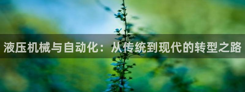 云顶国际酒店怎么样