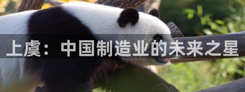 云顶国际游戏平台