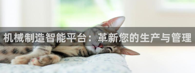 云顶集团投资是不是真的吗