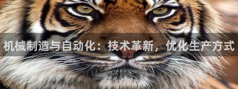 云顶国际集团官网首页入口